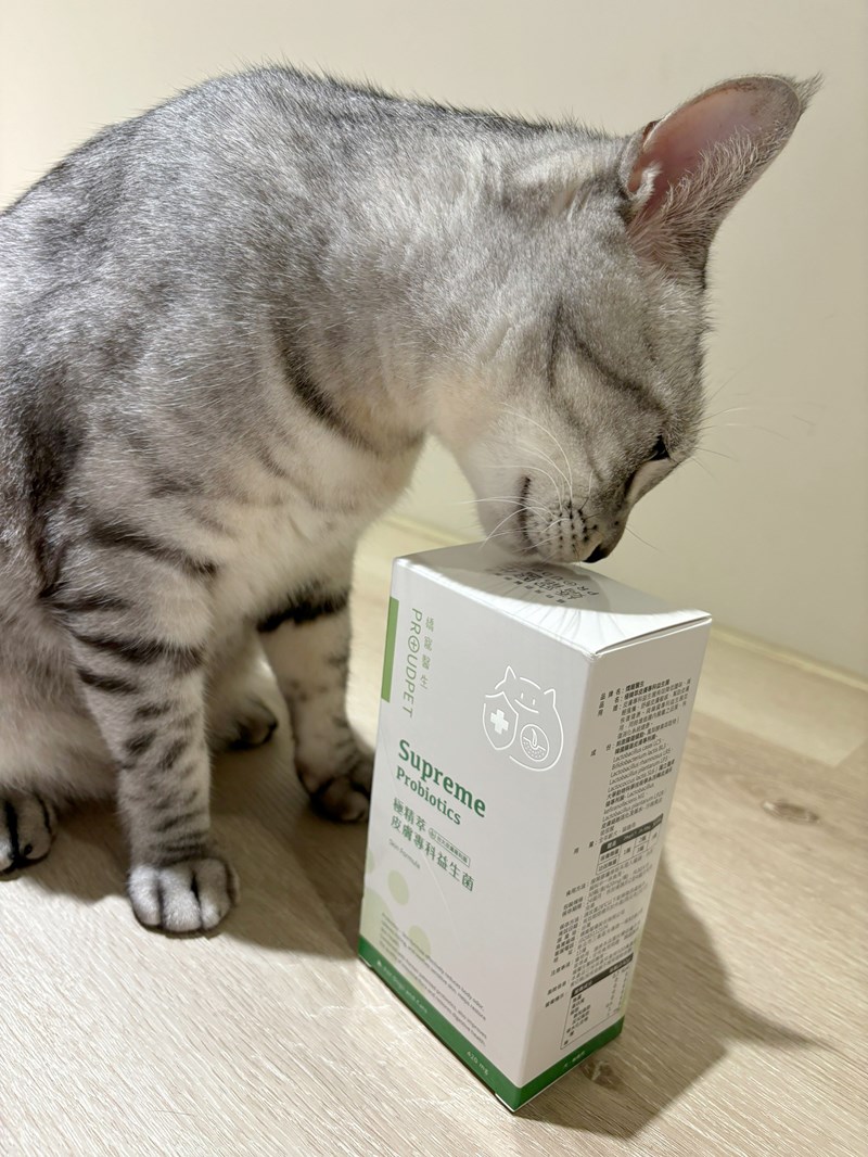 女人知己試用大隊,口碑行銷,部落客行銷,嬌寵醫生 極精萃 皮膚專科益生菌,保證新鮮活菌100億,皮膚保健益生菌,好吸收,幫助維持消化道機能,維持健康,可撥開膠囊使用以下方式均勻攪拌後，予以犬貓食用,●拌飼料　●拌罐頭　●拌鮮食　●拌肉泥,品牌創辦人是獸醫師，親自研發，吃得安心.放心,寵物預防醫學第一品牌,拒絕添加不必要成分